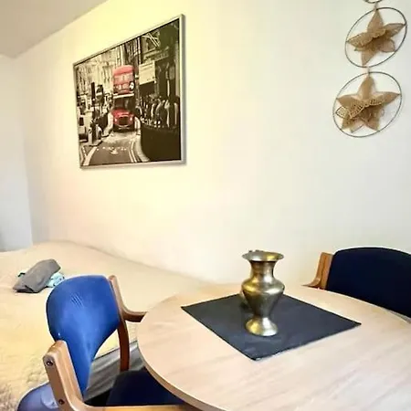 Bezagenta Mineralna 1 Bed Wi-fi 公寓 *